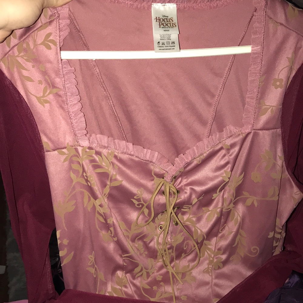 Sarah Sanderson Hocus Pocus Costume